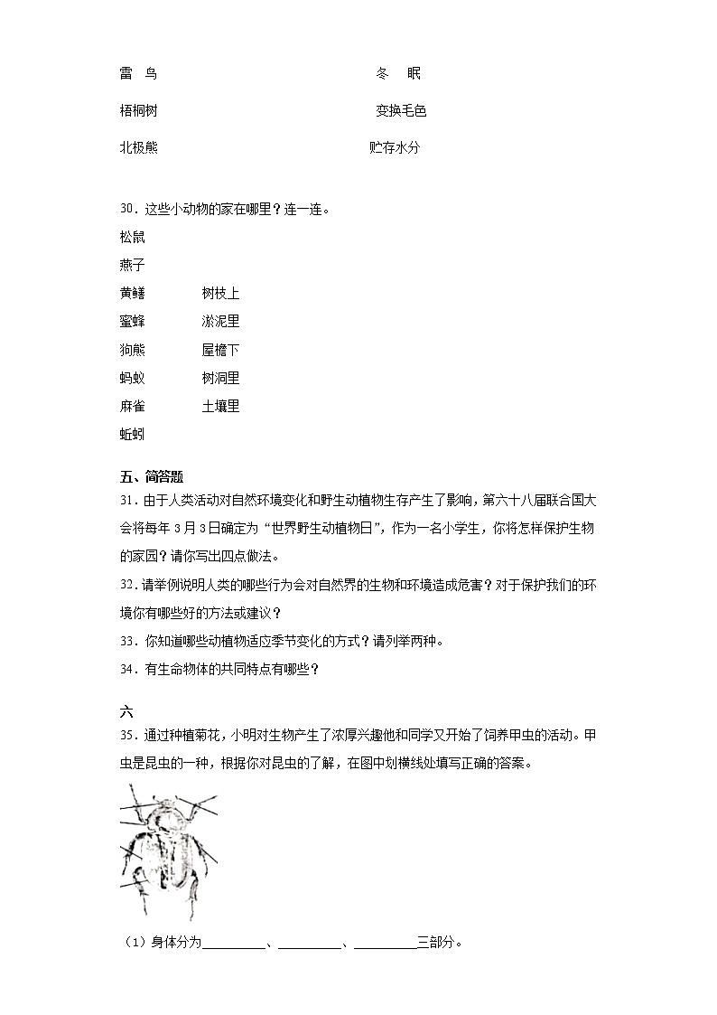 苏教版四年级下册科学第五单元生物与环境检测卷（一）（含答案）第3页