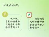 湘科版科学三年级上册 2.3 鸟（课件）
