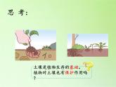 湘科版科学三年级上册 3.4 土壤的保护（课件）