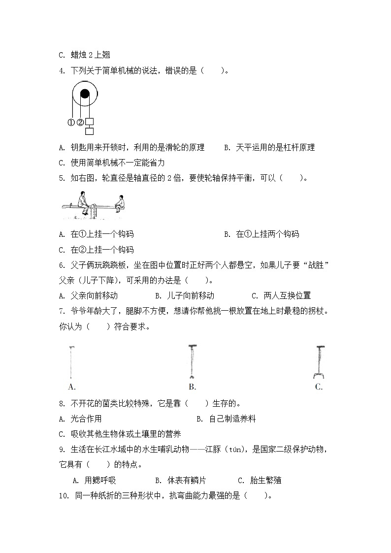 新教科版六年级上册科学期末试卷第3页