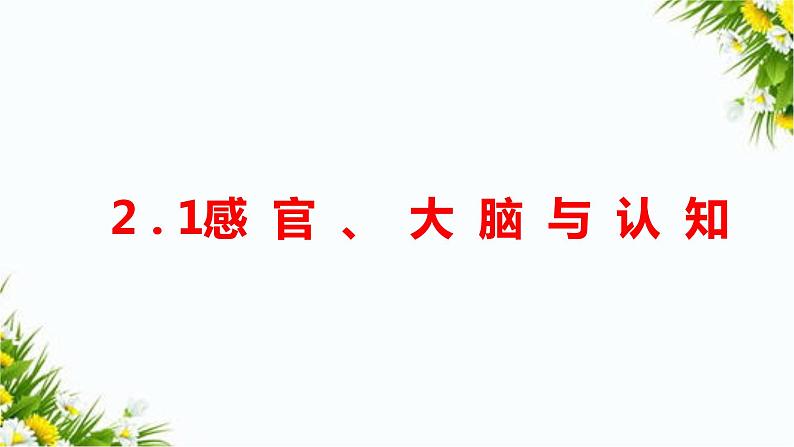 2.1感官、大脑与认知 教学课件第1页