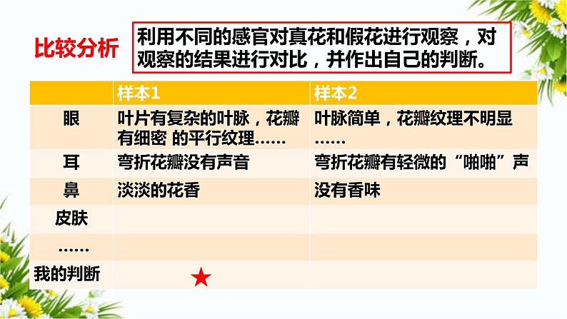 2.1感官、大脑与认知 教学课件第4页