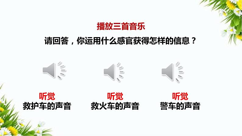 2.1感官、大脑与认知 教学课件第5页
