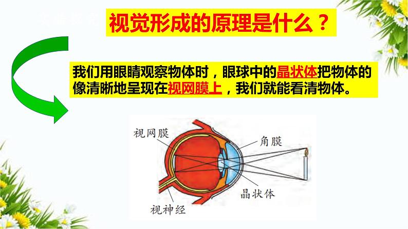 大象版五上科学课件2.2保护感官05