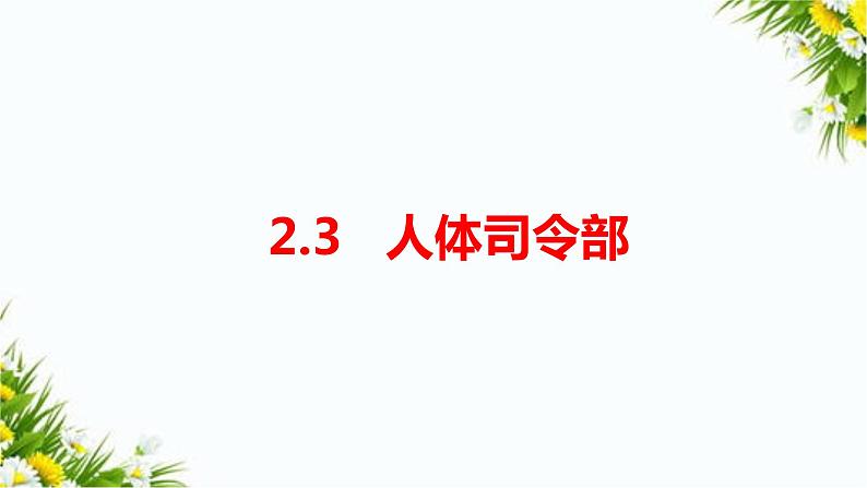 大象版五上科学课件2.3人体司令部01