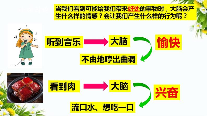 大象版五上科学课件2.3人体司令部06