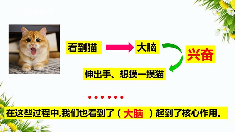 大象版五上科学课件2.3人体司令部07