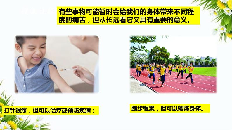 大象版五上科学课件2.3人体司令部08