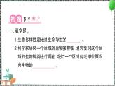 新教科版科學(xué)六年級(jí)下冊(cè) 第1課 校園生物大搜索 習(xí)題PPT（含答案+動(dòng)畫）