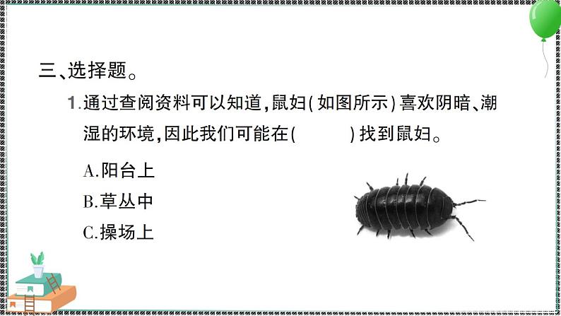 新教科版科学六年级下册 第1课 校园生物大搜索 习题PPT（含答案+动画）07