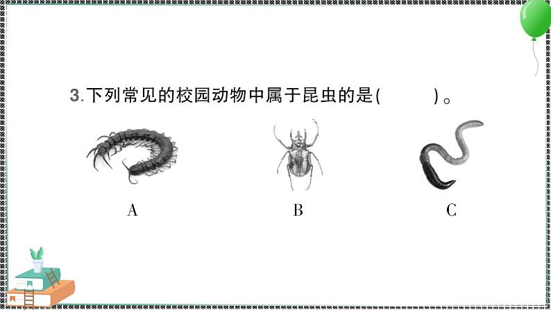 新教科版科学六年级下册 第4课 多种多样的动物 习题PPT（含答案+动画）08