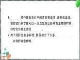 新教科版科学六年级下册 第二单元综合训练 习题PPT（含答案+动画）