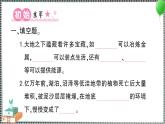 新教科版科學(xué)六年級下冊 第5課 地球家園的化學(xué)變化 習(xí)題PPT（含答案+動畫）