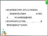新教科版科學(xué)六年級下冊 第5課 地球家園的化學(xué)變化 習(xí)題PPT（含答案+動畫）