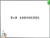 新教科版科学六年级下册 第6课 生命体中的化学变化 习题PPT（含答案+动画）