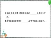 新教科版科学六年级下册 第四单元综合训练 习题PPT（含答案+动画）