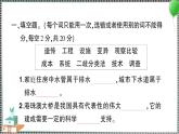 新教科版科学六年级下册 第一、二单元阶段性综合复习 习题PPT（含答案+动画）