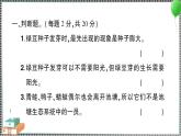 新教科版科学五年级下册 第一至四单元 阶段性综合复习(二) 习题PPT（含答案+动画）