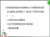 新教科版科学五年级下册 第5课 热在水中的传递 习题PPT（含答案+动画）