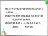 新教科版科學(xué)五年級(jí)下冊(cè) 第二單元 綜合訓(xùn)練 習(xí)題PPT（含答案+動(dòng)畫）