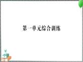 新教科版科学五年级下册 第一单元 综合训练 习题PPT（含答案+动画）