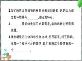 新教科版科学五年级下册 第一单元 综合训练 习题PPT（含答案+动画）