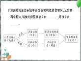 新教科版科学五年级下册 第一单元 综合训练 习题PPT（含答案+动画）