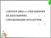 新教科版科學(xué)五年級下冊 第5課 當(dāng)環(huán)境改變了 習(xí)題PPT（含答案+動(dòng)畫）
