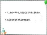 新教科版科学五年级下册 第3课 绿豆苗的生长 习题PPT（含答案+动画）