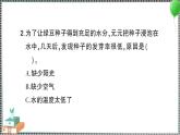 新教科版科学五年级下册 第2课 比较种子发芽实验 习题PPT（含答案+动画）