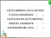 新教科版科学四年级下册 期末测试卷（一） 习题PPT