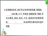 新教科版科学四年级下册 期末复习三 岩石与土壤 习题PPT