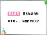 新教科版科学四年级下册 期末复习一 植物的生长变化 习题PPT