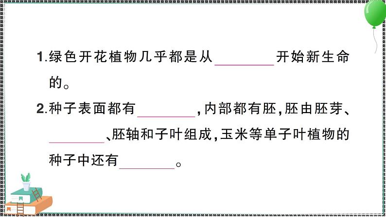 新教科版科学四年级下册 期末复习一 植物的生长变化 习题PPT02