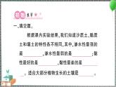 新教科版科學(xué)四年級(jí)下冊(cè) 第7課 比較不同的土壤 習(xí)題PPT