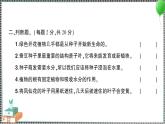 新教科版科學(xué)四年級(jí)下冊(cè) 第一單元綜合訓(xùn)練 習(xí)題PPT