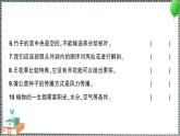 新教科版科學(xué)四年級(jí)下冊(cè) 第一單元綜合訓(xùn)練 習(xí)題PPT