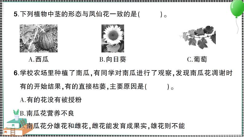 新教科版科学四年级下册 第一单元综合训练 习题PPT08