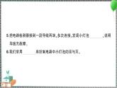 新教科版科学四年级下册 第二单元综合训练 习题PPT