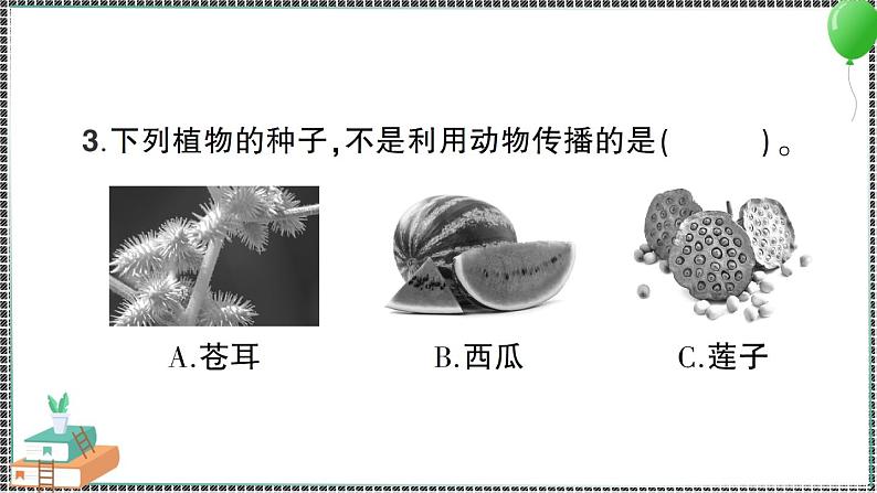 新教科版科学四年级下册 第7课 种子的传播 习题PPT07