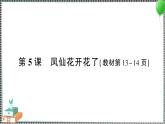 新教科版科學四年級下冊 第5課 鳳仙花開花了 習題PPT