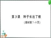 新教科版科学四年级下册 第3课 种子长出了根 习题PPT