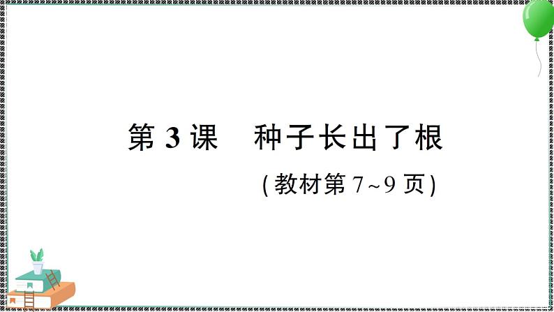 新教科版科学四年级下册 第3课 种子长出了根 习题PPT01