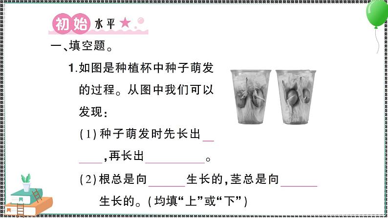 新教科版科学四年级下册 第3课 种子长出了根 习题PPT02