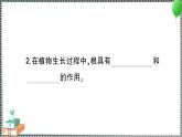 新教科版科学四年级下册 第3课 种子长出了根 习题PPT