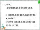 新教科版科学四年级下册 第3课 种子长出了根 习题PPT