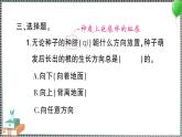 新教科版科学四年级下册 第3课 种子长出了根 习题PPT