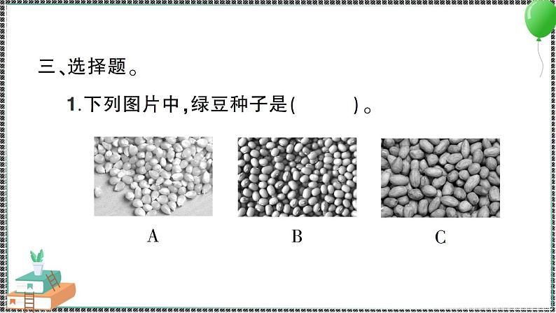 新教科版科学四年级下册 第1课 种子里孕育着新生命 习题PPT04