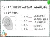 教科版科学三年级下册期末复习二 动物的一生 习题PPT