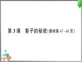 教科版科學(xué)三年級下冊第3課 影子的秘密 習(xí)題PPT